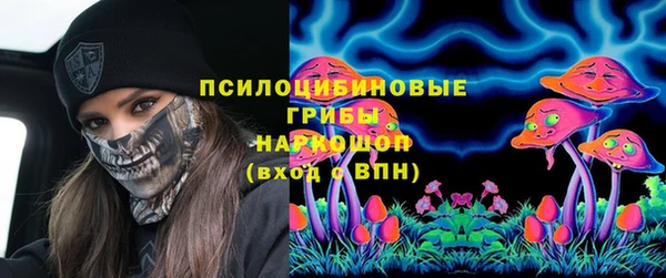 каннабис Аркадак