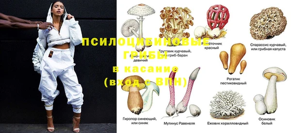 твердый Армянск