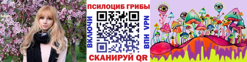 Псилоцибиновые грибы MAGIC MUSHROOMS  Ленинск-Кузнецкий 